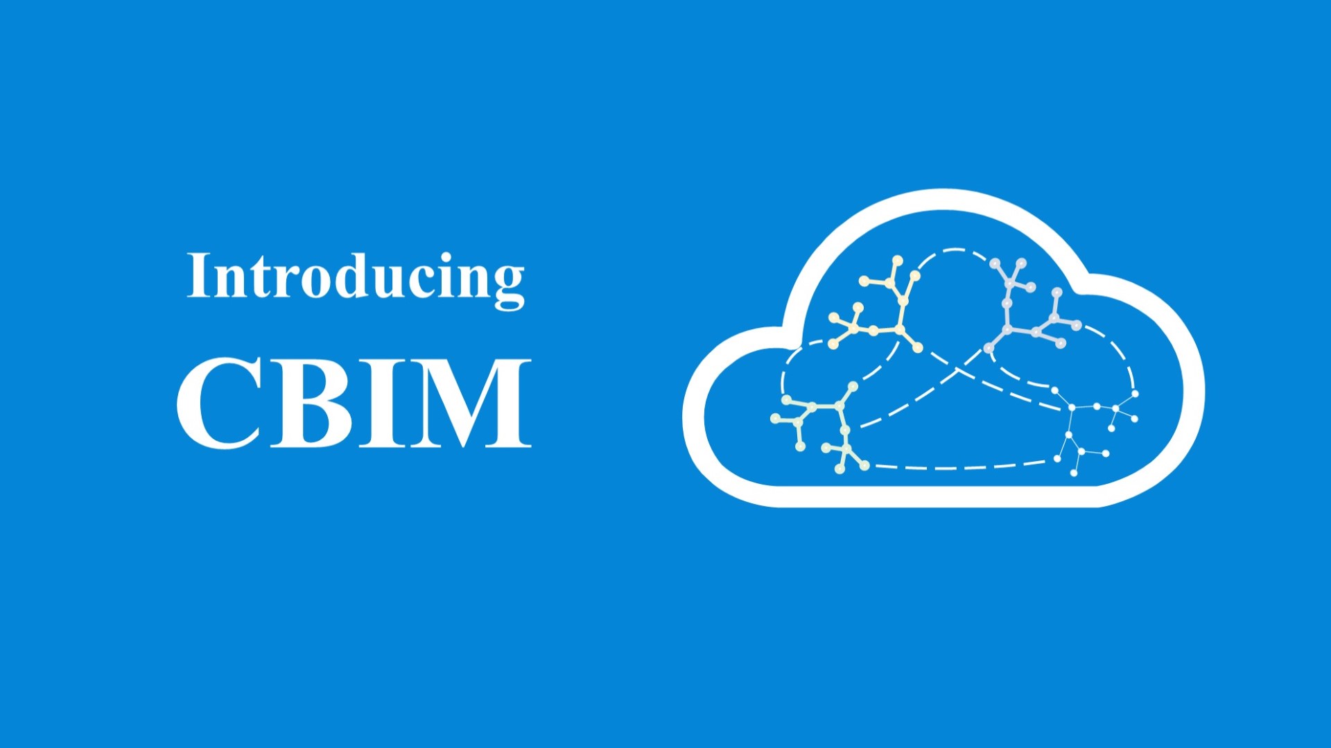 Introducing BIM